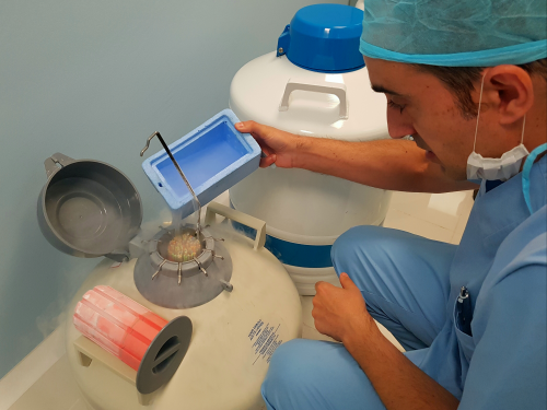 LABORATORIO